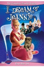 Watch Vodly I Dream of Jeannie Online